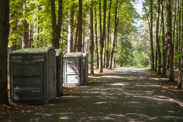 Portable Toilet Options We Offer in Flossmoor, IL